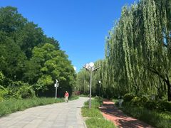 -南翠屏公园