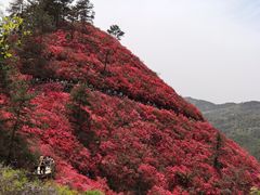 -木兰云雾山