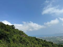 -三亚亚龙湾人间天堂鸟巢度假村