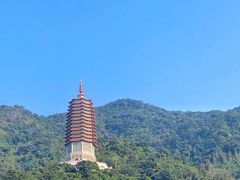 -深圳仙湖植物园