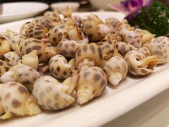 -宝宇大连海鲜渔港(金奎大厦店)