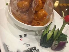 -梧桐庄园