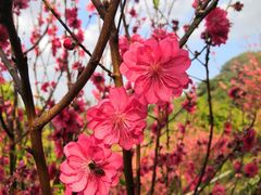 -水濂山森林公园