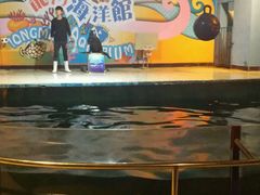 -洛阳龙门海洋馆