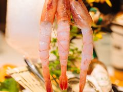 甜虾刺身-蚝翅·海鲜粥·烧烤·宁夏滩羊季(玉米楼店)