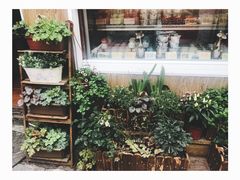 门面-狐狸家·酸奶酪专门店(平江路店)