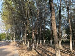-莫子山公园