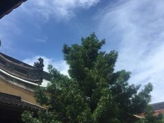 -普陀山慧济禅寺