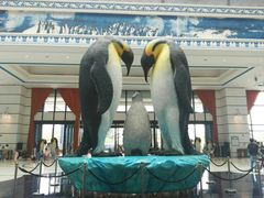 -帝企鹅自助餐厅•儿童岛•真企鹅(长隆企鹅酒店)