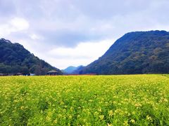 -广州市石门国家森林公园