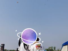 -春花秋色城市公园