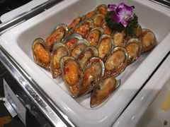 -新君悦国际酒店