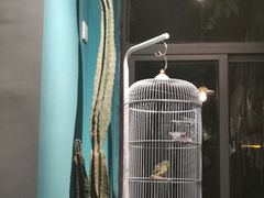 -默迹咖啡馆