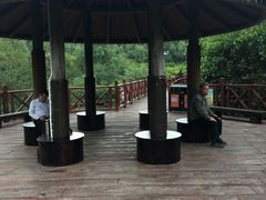 -大亚湾红树林城市湿地公园