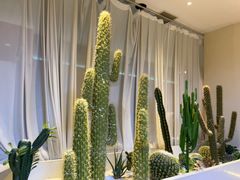 -悦海·家宴·冰花皮皮虾大锅贴(宝龙店)