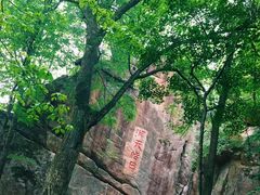 -五女峰国家森林公园