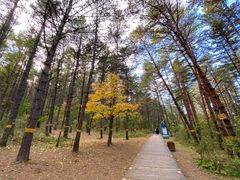 -帽儿山国家森林公园