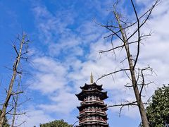 -洋湖国家湿地公园