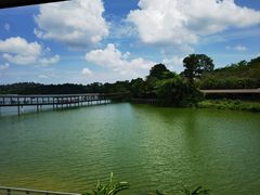 -河川生态园