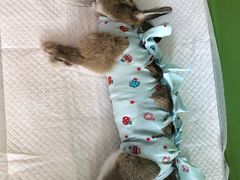 -美迦爱-牙专科·兔科·骨科诊疗中心(北苑店)