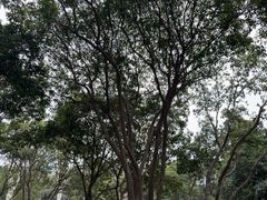 -东坡赤壁风景名胜区