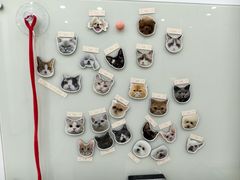 -四月宠物医院·猫专科·心脏专科·内科(转塘店)