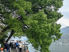 -严子陵钓台(富春江小三峡)