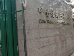-中国福利会少年宫