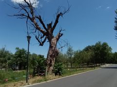 -兴安湖生态运动公园