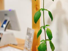 -呷贺盐酥鸡(抄纸巷店)