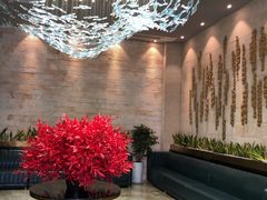 -海玥荟海鲜姿造自助餐厅(欧罗巴广场店)