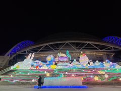 -沈阳奥体冰雪嘉年华