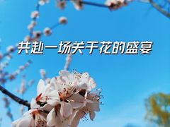 -三里河公园