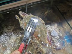 -四海蒸鲜蒸汽海鲜自助(北戴河店)
