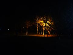 -莫子山公园