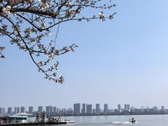 -无锡蠡湖国家湿地公园-蠡园