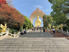 -庐山风景名胜区-东林大佛