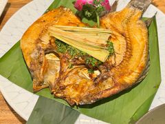 -紫滇源云南生态菜(丹凤街店)