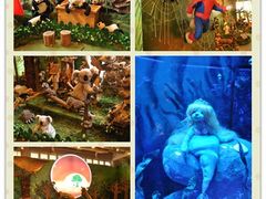 -济州岛泰迪熊博物馆