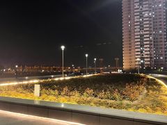 -海河外滩公园