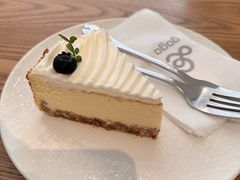 -gaga(深圳南山益田假日广场店)