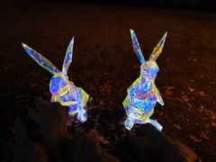 -祥源·阜阳生态乐园