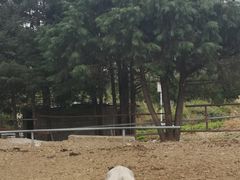 -丽江玉水寨