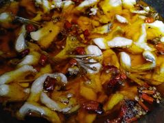 -雲蜀龙阁·金牌水煮鱼(方庄店)