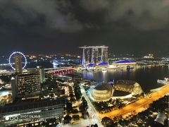 -新加坡瑞士史丹福酒店