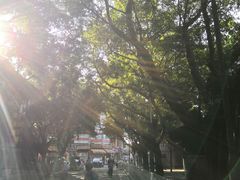 -黄埔古港