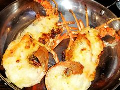 小青龙-盒马鲜生(皇庭广场店)