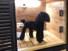 -宠宠熊宠物美容(星湖街店)
