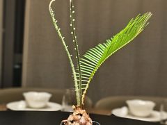 -梅花境(万科店)