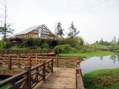 -桤木河湿地公园